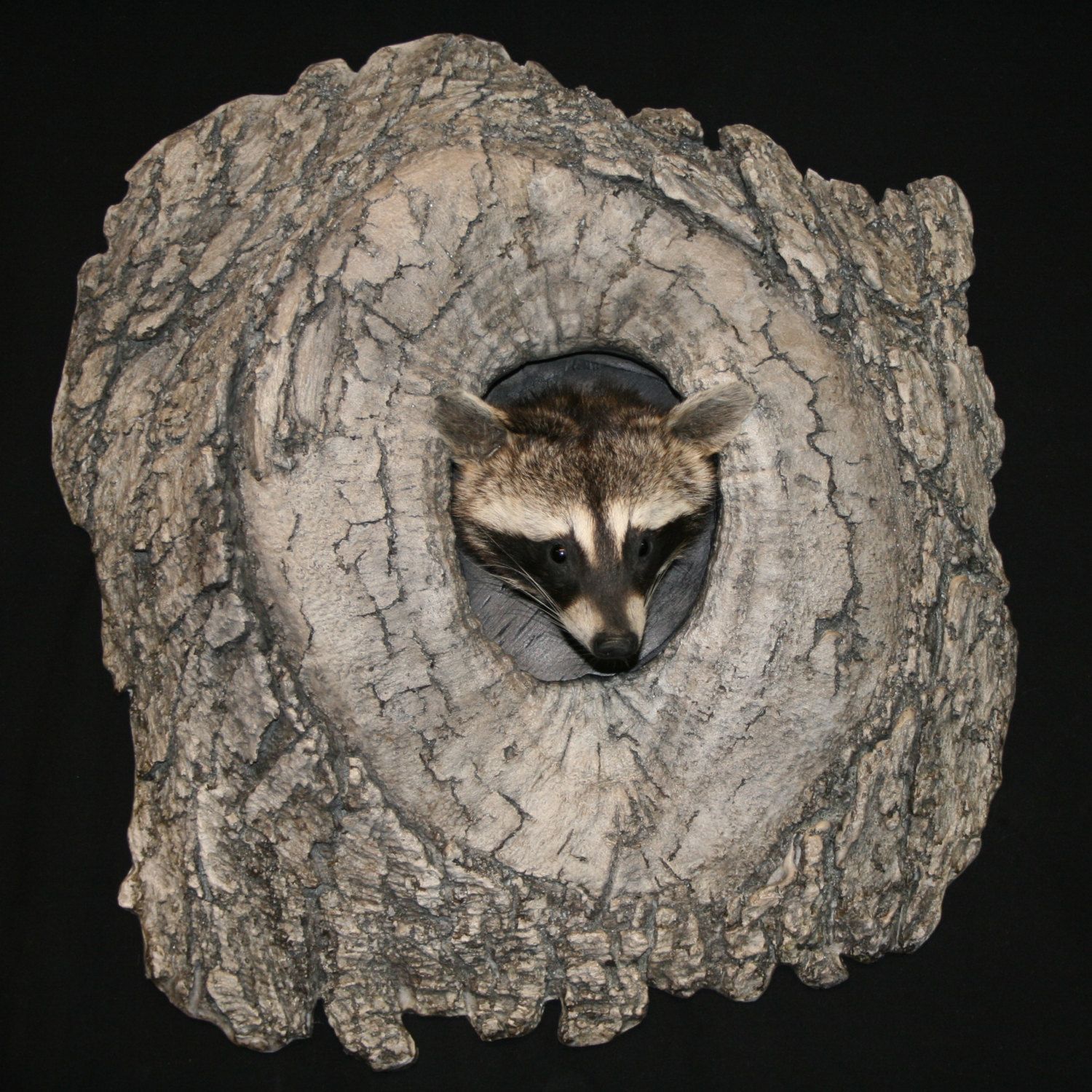 What New Gifts Do They Find In The Knothole